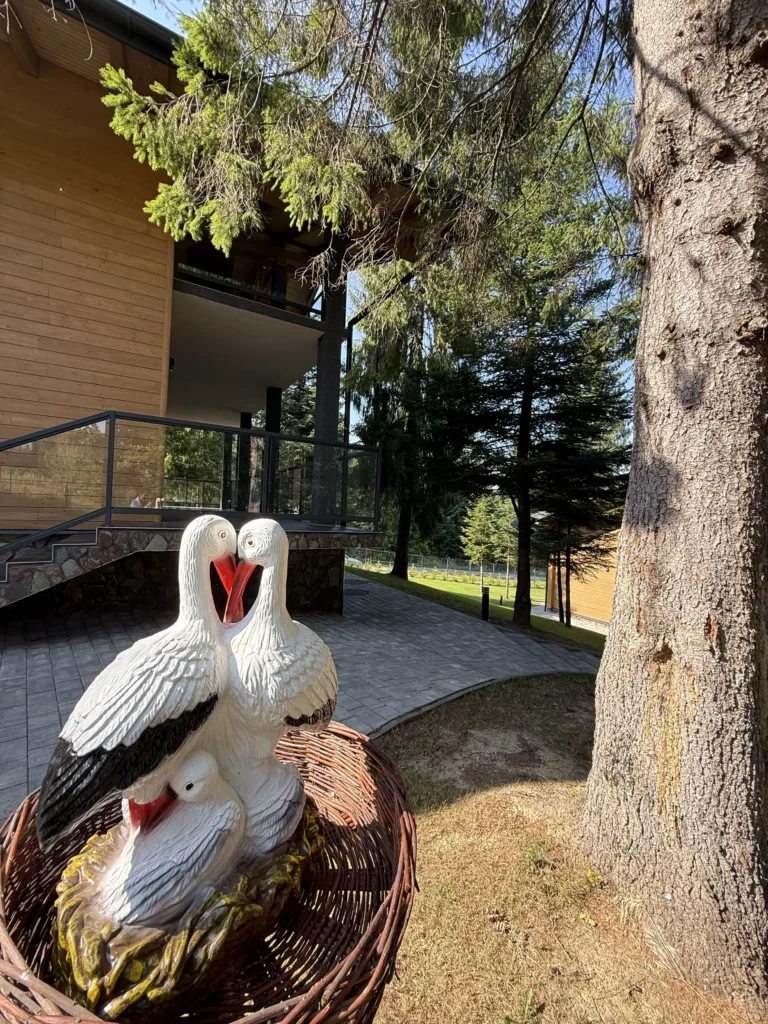 Критий навіс із зонами відпочинку — садиба Гірська Лаванда, Східниця