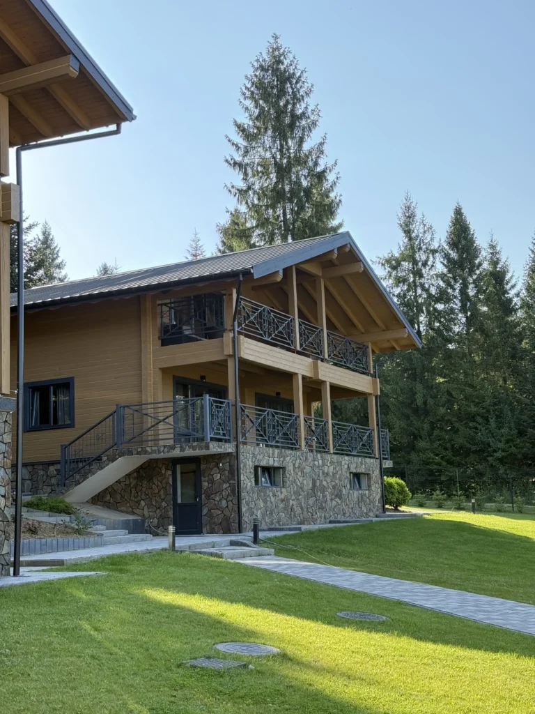 Вид на територію Гірська Лаванда з хвойними деревами, Карпати