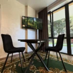 Хвойні дерева та галявина на території комплексу Гірська Лаванда