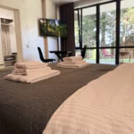 Апартаменти у Карпатах — будівля з дерев'яним фасадом, Гірська Лаванда