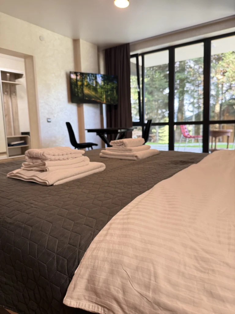 Апартаменти у Карпатах — будівля з дерев'яним фасадом, Гірська Лаванда