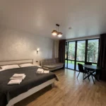 Апартаменти з двоспальним ліжком та панорамним вікном — Гірська Лаванда