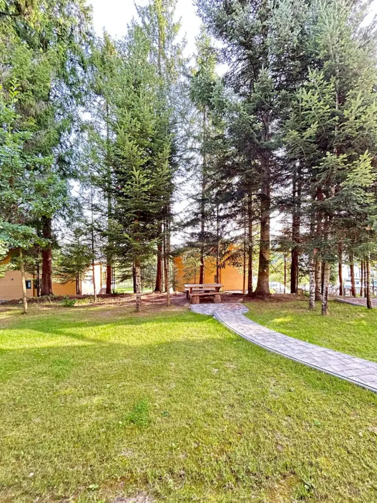 Лісова доріжка та зона відпочинку на території комплексу Гірська Лаванда